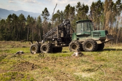 TIMBERJACK 1710 B